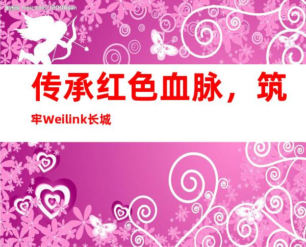 传承红色血脉，筑牢Weilink长城