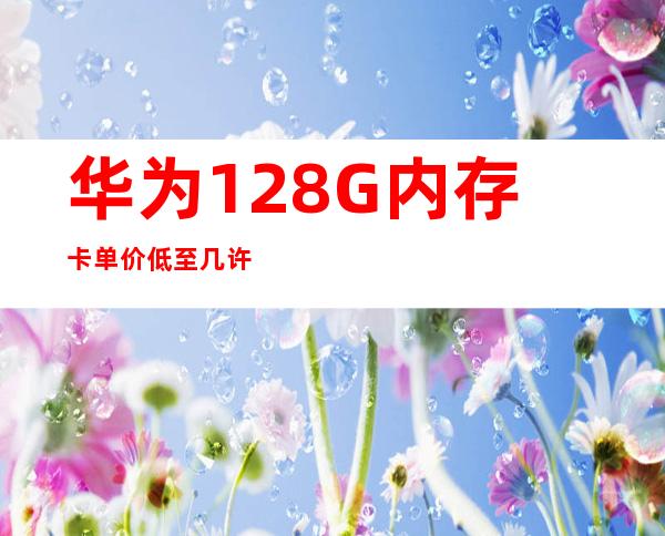 华为128G内存卡单价低至几许